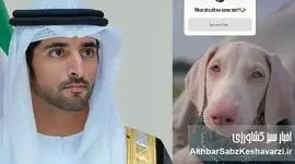 نام سگ جدید ولیعهد دبی با رأی ۱۷ میلیون دنبال‌کننده اینستاگرام