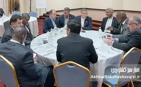 کیمیای سبز رفسنجان در قلب همکاری‌های ایران و کنیا: دیداری با وزیران و سفیر