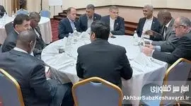 کیمیای سبز رفسنجان در قلب همکاری‌های ایران و کنیا: دیداری با وزیران و سفیر