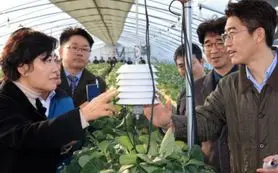 تمرکز کره جنوبی بر کشاورزی هوشمند