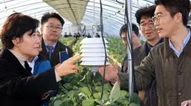 تمرکز کره جنوبی بر کشاورزی هوشمند