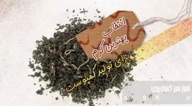 راهنمای جامع تولید ورمی‌کمپوست: چگونه بهترین کرم را برای کمپوست انتخاب کنیم؟