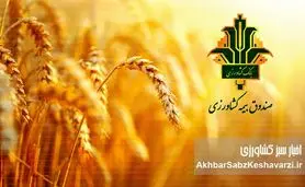حمایت‌های صندوق بیمه کشاورزی از کشاورزان فارس: گزارشی جامع از حضور قائم‌مقام در مرودشت
