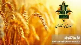 حمایت‌های صندوق بیمه کشاورزی از کشاورزان فارس: گزارشی جامع از حضور قائم‌مقام در مرودشت