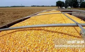 شعبه ویژه فساد نهاده‌ها کلید خورد؛ بازارگاه زیر تیغ تحقیق+ ویدئو