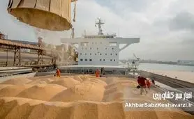 انفجار در کمین بازار نهاده‌ها/ گره ارزی دولت بازار را فلج کرد