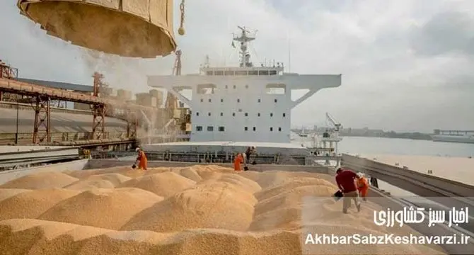 انفجار در کمین بازار نهاده‌ها/ گره ارزی دولت بازار را فلج کرد