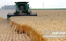پزشکیان از اصلاح تاریخی قیمت خرید تضمینی گندم خبر داد