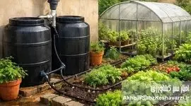 مدیریت هوشمند منابع آبی در مقیاس خرد: بازیافت آب باران، راهکاری راهبردی برای کشاورزی خانگی