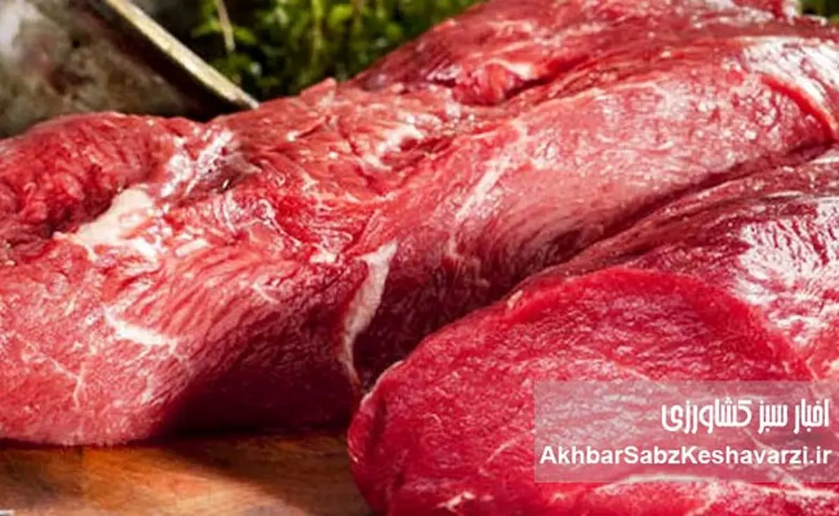 ریزش محسوس قیمت گوشت قرمز؛ بازار بعد از ماه‌ها نفس کشید