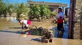 جنوب ایران در اضطرار

