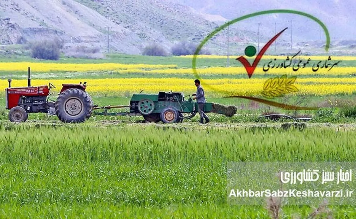 سه چالش اساسی بخش کشاورزی ایران از زبان سرشماری عمومی کشاورزی در سال ۱۴۰۳