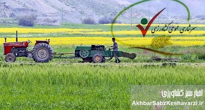 سه چالش اساسی بخش کشاورزی ایران از زبان سرشماری عمومی کشاورزی در سال ۱۴۰۳