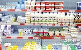 افزایش ۲۵ درصدی لبنیات؛ عددی کوچک با اثری بزرگ بر سلامت جامعه