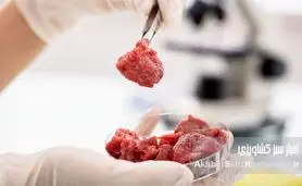 گوشت مصنوعی: آینده تغذیه انسان؟ همه چیز درباره گوشت آزمایشگاهی، مزایا، معایب و اهمیت آن برای اقتصاد خانوار