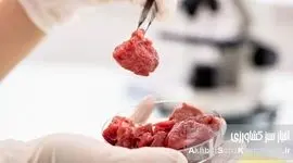 گوشت مصنوعی: آینده تغذیه انسان؟ همه چیز درباره گوشت آزمایشگاهی، مزایا، معایب و اهمیت آن برای اقتصاد خانوار