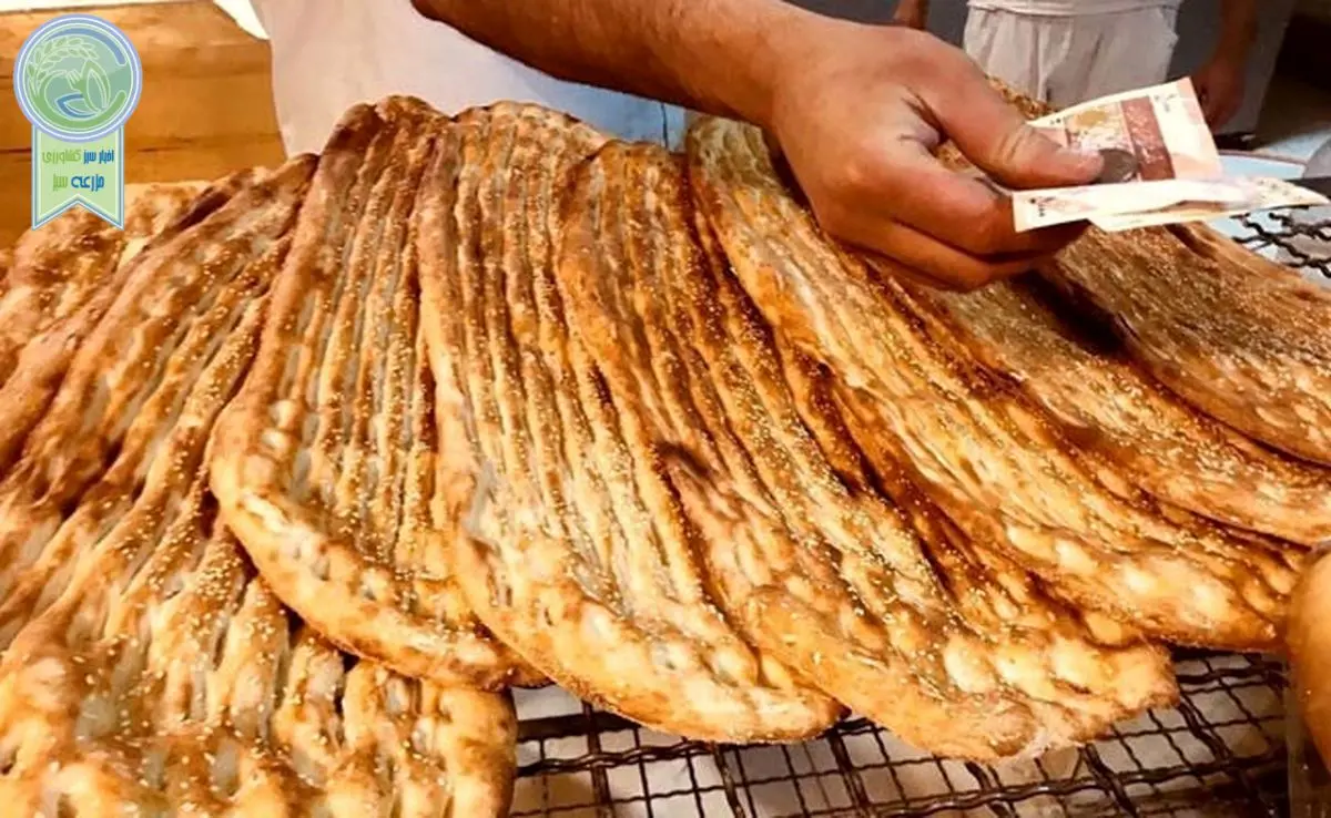 دولت با گران شدن نان موافقت کرد+فیلم


