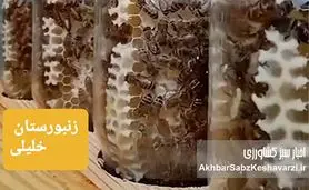 گفت‌وگوی اختصاصی با رضا خلیلی، زنبوردار خوش‌فکر در مسیر نوآوری؛ از عسل شیشه‌ای تا تولید پرگا+ویدئو