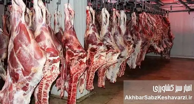 قیمت جدید گوشت در میادین تره بار تهران: فرصت خرید ۳۰ درصد ارزان‌تر