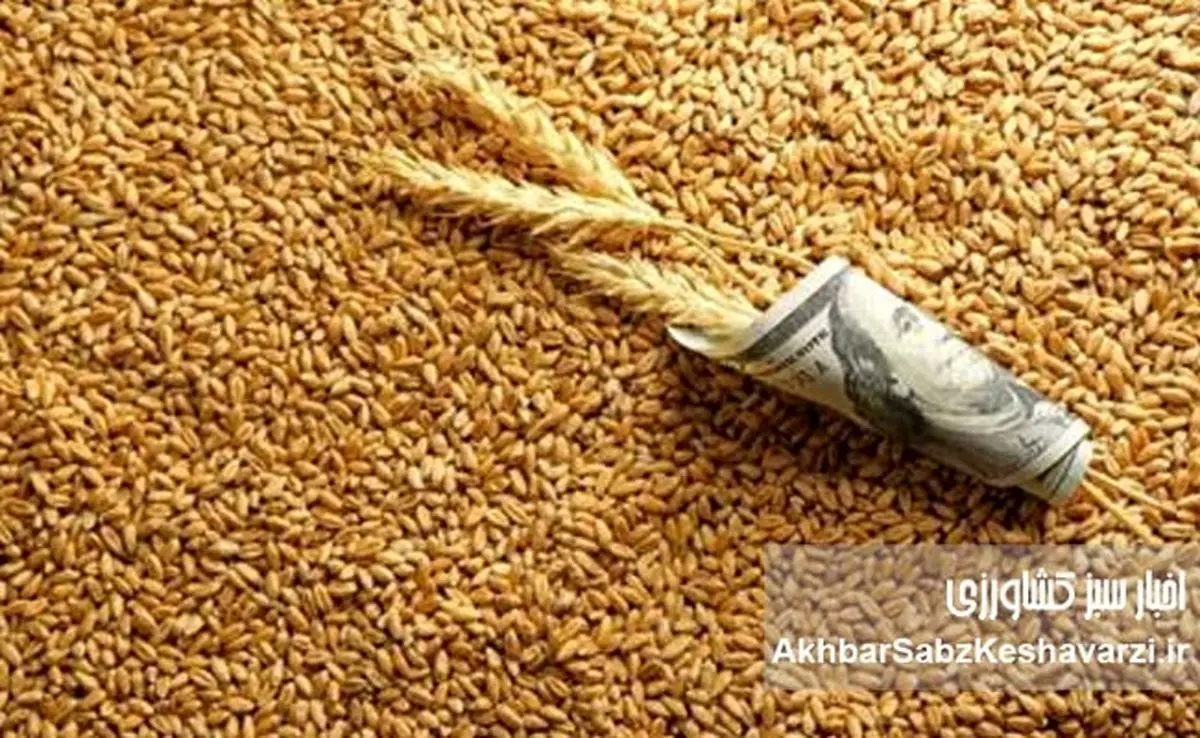 بازار نهادههای دامی در چنگال مافیا: ارز ترجیحی چگونه ناپدید میشود؟