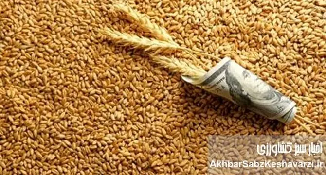 بازار نهاده‌های دامی در چنگال مافیا: ارز ترجیحی چگونه ناپدید می‌شود؟