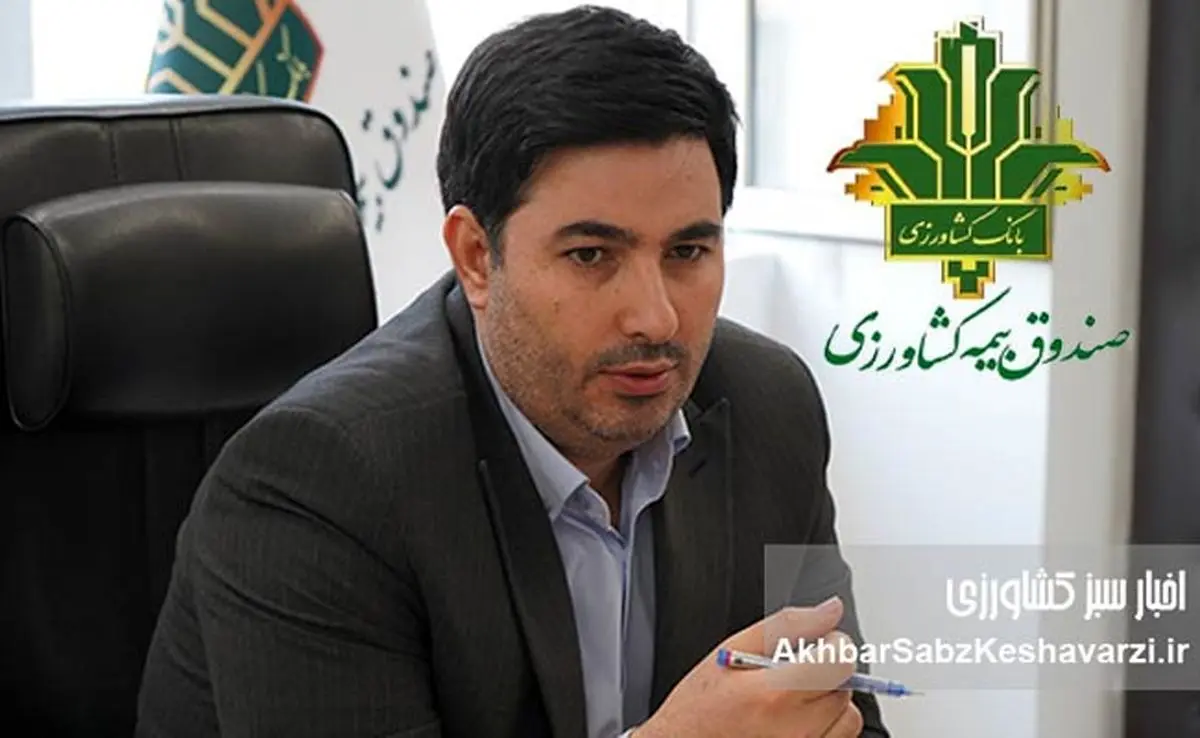 پژوهش، سنگ‌بنای تصمیم‌سازی علمی و توسعه پایدار