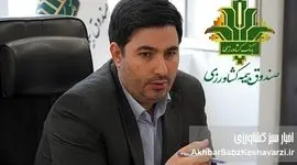 پژوهش، سنگ‌بنای تصمیم‌سازی علمی و توسعه پایدار