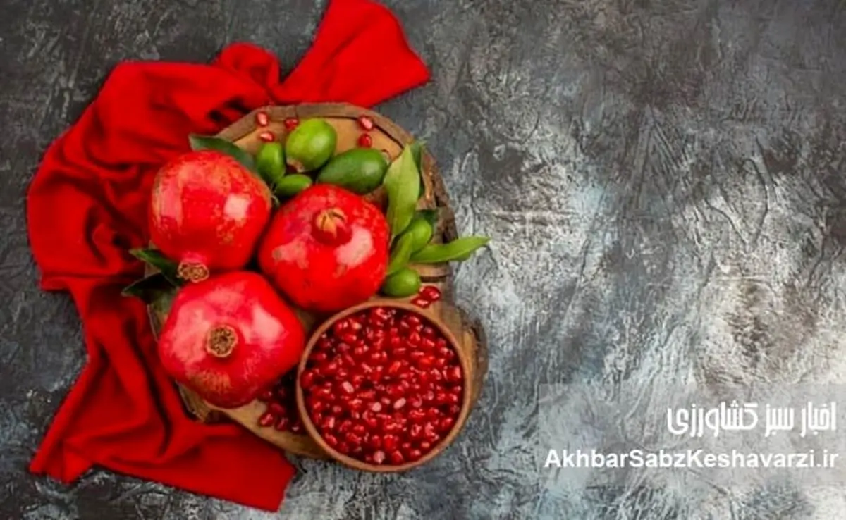 یلدا فرصتی برای باهم بودن فارغ از سرخی و زردی رویمان!