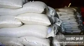 برنج وارداتی ۲۷ هزار تومانی، چرا تا ۱۰۰ هزار تومان به فروش می‌رسد؟!
