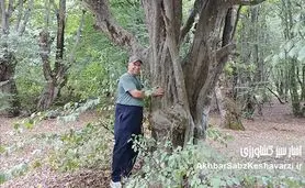 تنوع زیستی بی‌نظیر در پارک جنگلی هیرکانی النگدره گرگان+ویدئو
