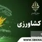 دولت از گندمکاران حمایت می‌کند؛ حق بیمه گندم به‌طور کامل پرداخت می‌شود