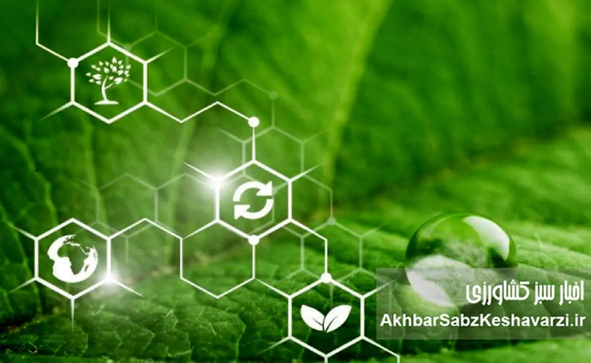 وقتی شیمی سبز به کمک کشاورزی می‌آید