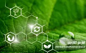 وقتی شیمی سبز به کمک کشاورزی می‌آید