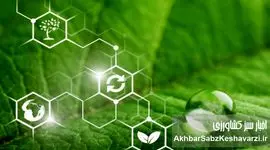وقتی شیمی سبز به کمک کشاورزی می‌آید