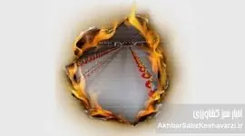 وقتی بحران به سفره مردم می‌رسد؛ فجایع در صنعت مرغداری