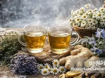 گیاهانی که در زمستان به داد بدن انسان می‌رسند