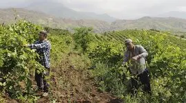 میراث های مهم کشاورزی در جهان