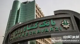 «بانک کشاورزی»: امید کشاورزان در دل خشکسالی؛ ضرورت حمایت ویژه دولت