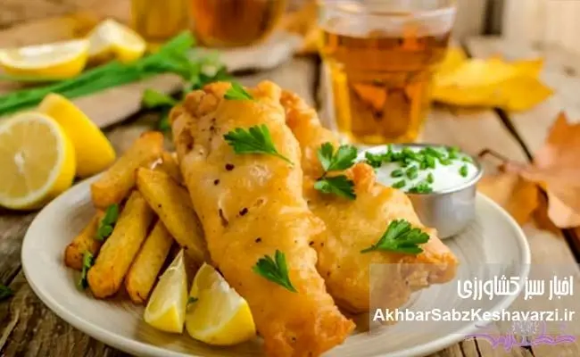 از کوبیده ماهی تا چیپس ماهی، مسیر تازه صنعت شیلات برای سلامت جامعه و توسعه بازار