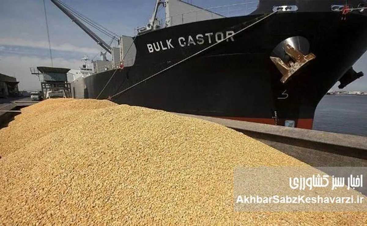 ​برخورد با خالی‌فروشان نهاده‌های دامی؛ آیا هم‌دستان بالادستی نیز شناسایی می‌شوند؟