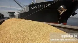 ​برخورد با خالی‌فروشان نهاده‌های دامی؛ آیا هم‌دستان بالادستی نیز شناسایی می‌شوند؟