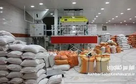 کشف بزرگترین انبار احتکار برنج در جنوب تهران: جریمه ۳۰ میلیارد تومانی متخلفان و تأثیر آن بر بازار