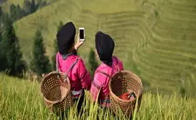 هوش مصنوعی و داده‌ها برای پیشرفت کشاورزی اندونزی