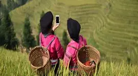 هوش مصنوعی و داده‌ها برای پیشرفت کشاورزی اندونزی
