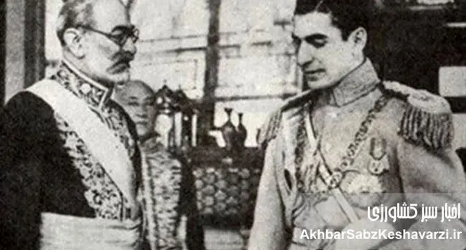 ایران در اشغال متفقین، کابینه دولت فروغی و تامین غذای ملی