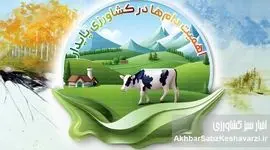 اهمیت دام‌ها در کشاورزی پایدار