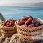 خواص انواع خرما: راهنمای جامع برای انتخاب بهترین خرما