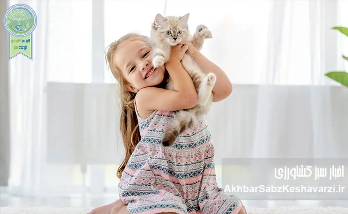 حیوانات خانگی و مزایای نگهداری آنها