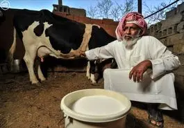 بزرگترین 