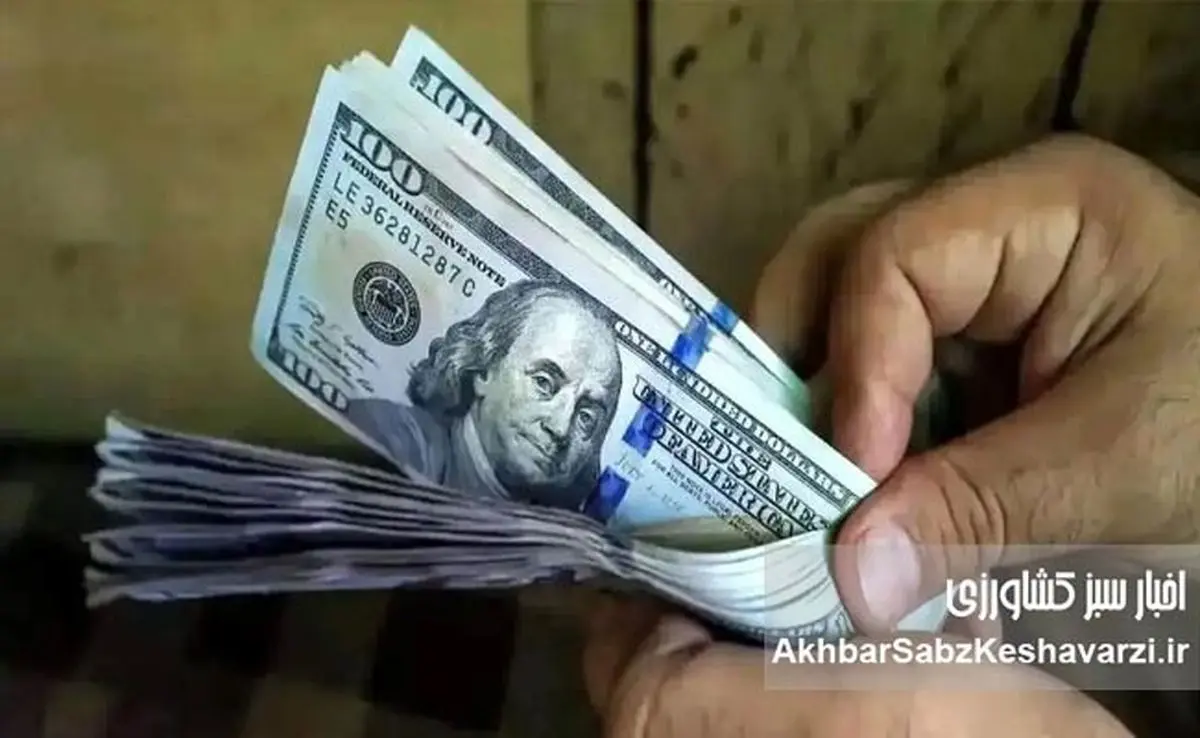 جراحی در اوج التهاب؛ چرا حذف ارز ترجیحی در این مقطع خطای پرهزینه است؟